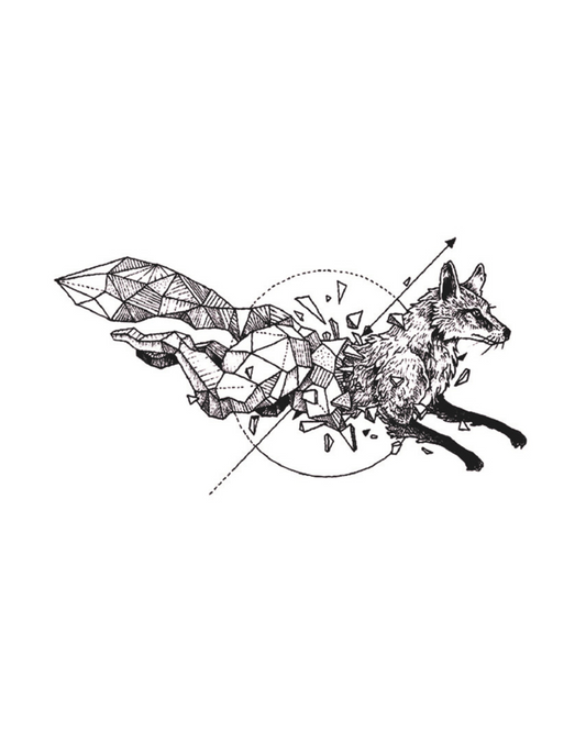 Zorro Espacial | 10x18CM