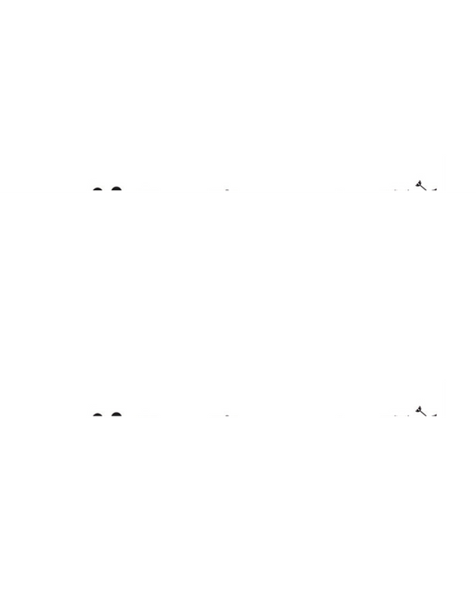 Flores Estilo Ukiyo | 10x18CM