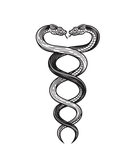 Serpiente Dual | 10x18CM